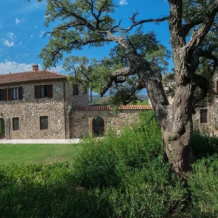Le Cannelle Castellina Marittima